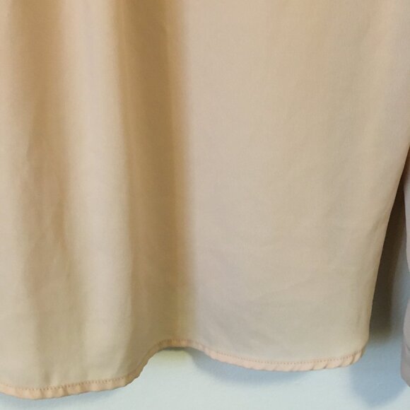 Classy Sheer Bisque and Black Trim Tunic Neck Blouse - Picture 8 of 16